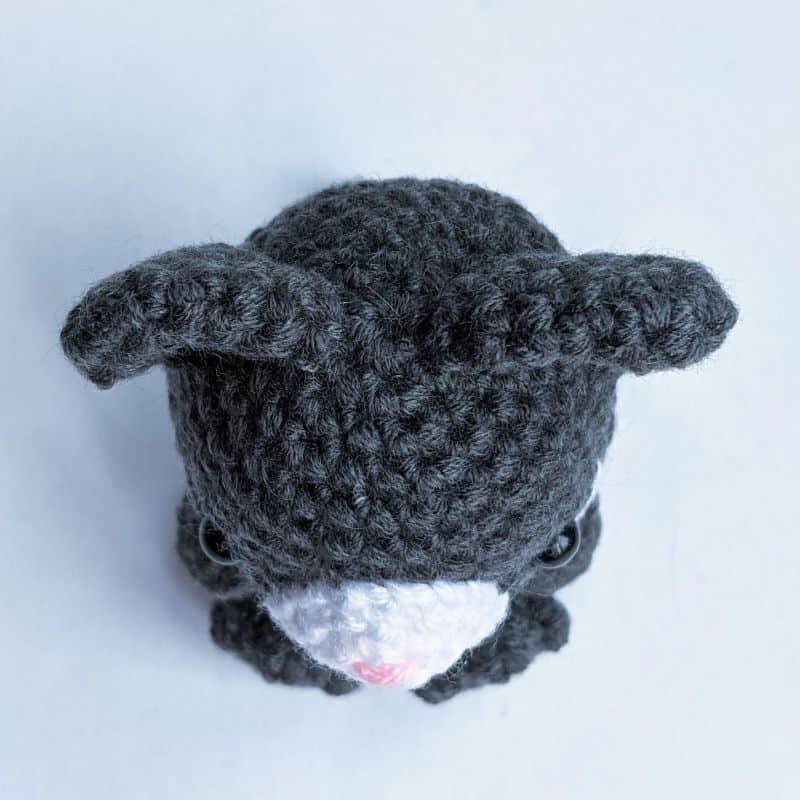 sitting cat amigurumi top view on white background