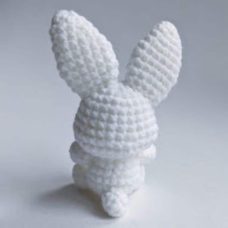 bunny back