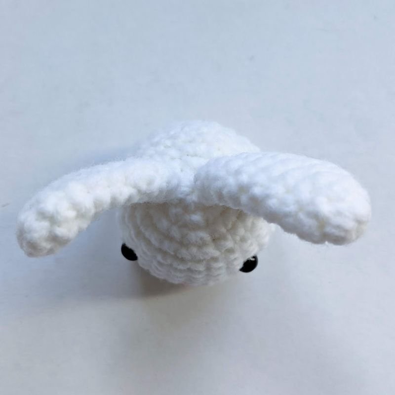 bunny head top