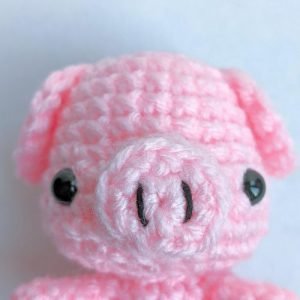 pig head