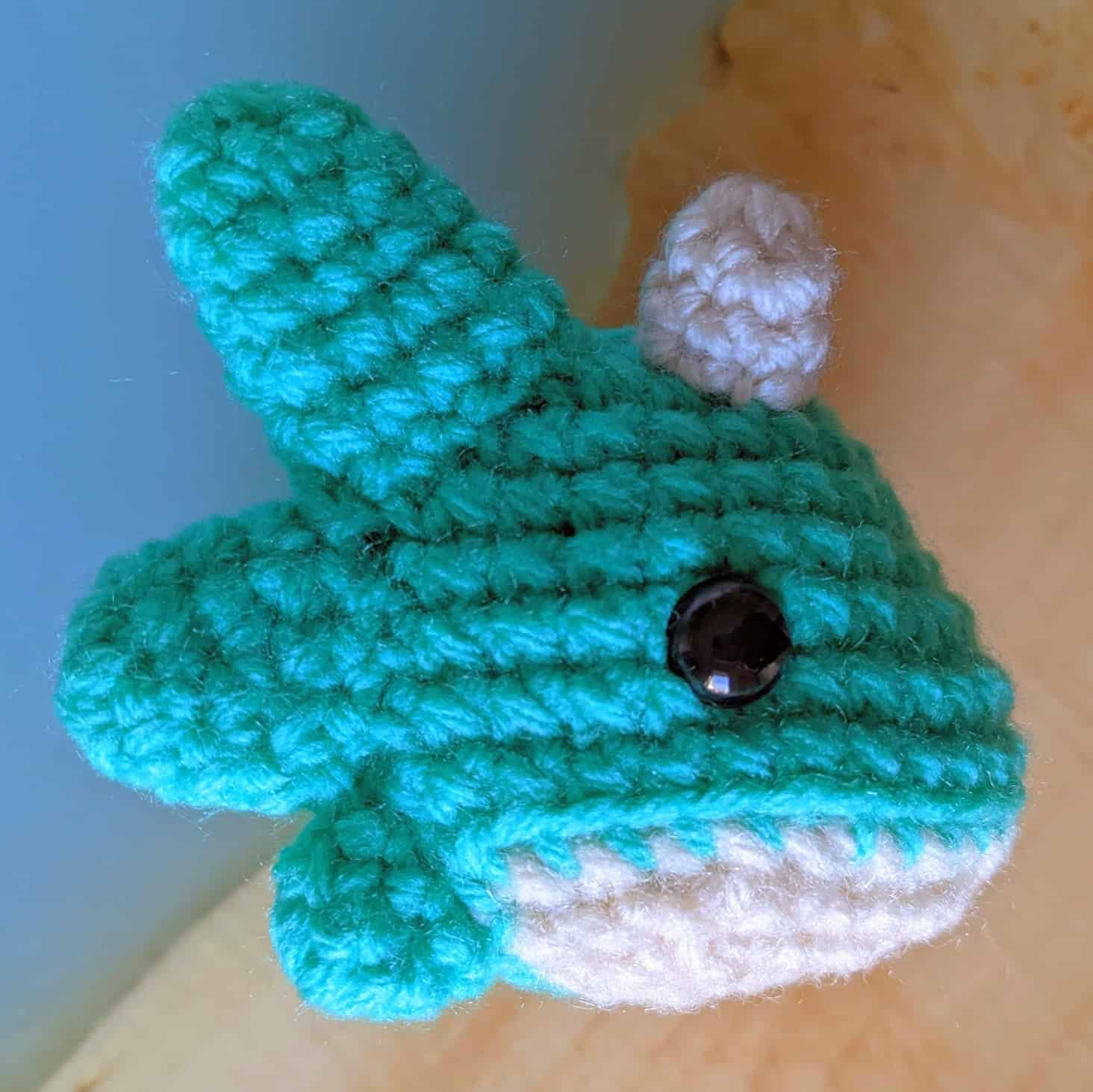 rabbit standing